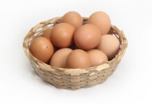 vejce v košíku