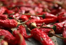 chilli papričky