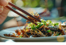 Jak chutná cvrček? Aneb podaří se změnit naše jídelní návyky?